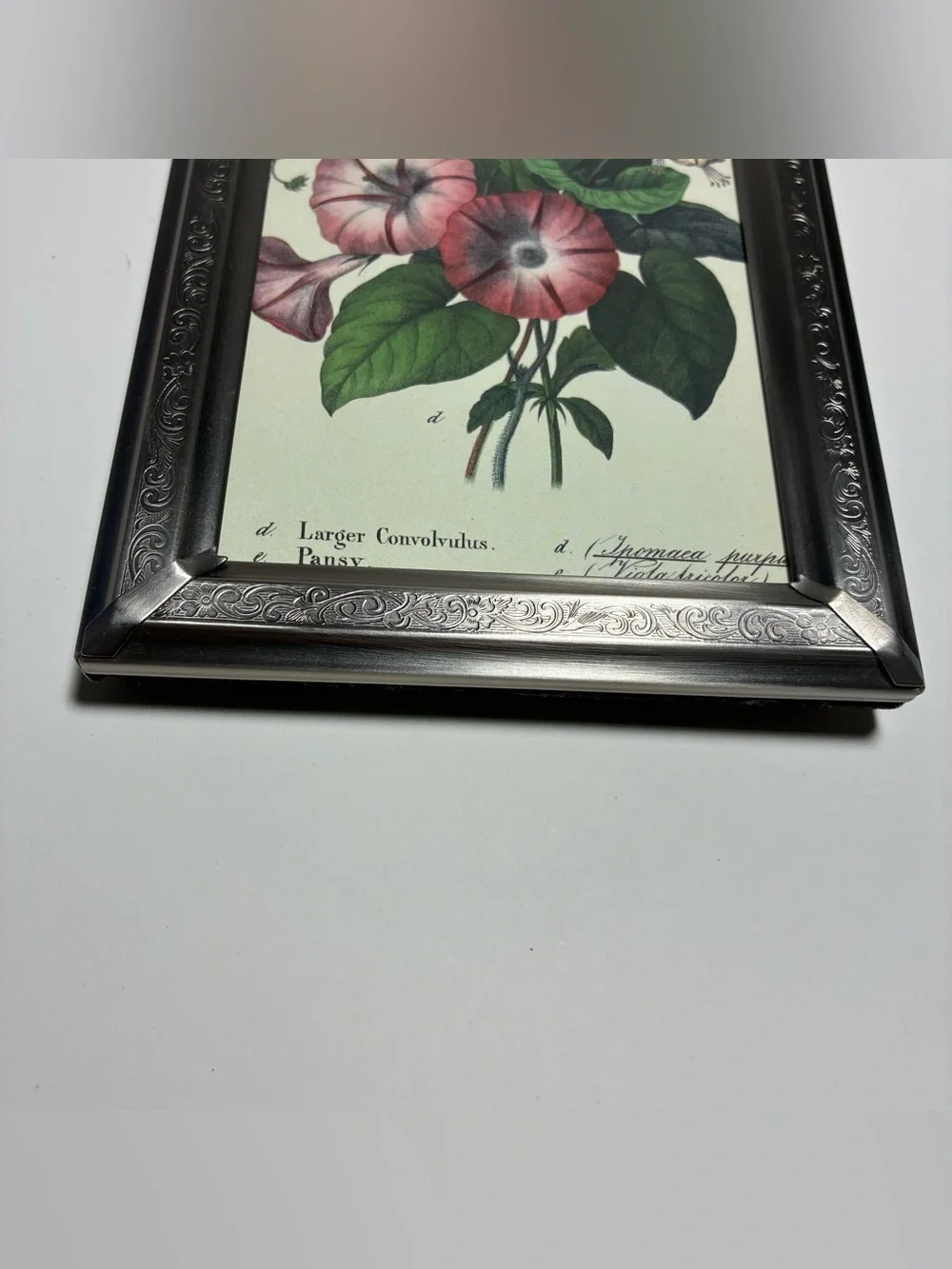 Vintage Silver Aluminum Etched Frame Botanical Floral Print Freestanding 7x5